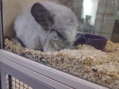 -三旗百汇商品城