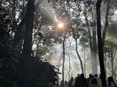 -广西龙虎山风景区