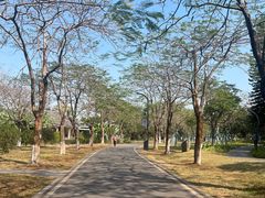 -海珠湖公园