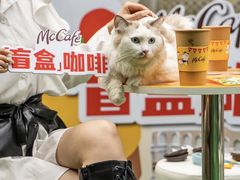 -麦当劳(宜安广场店)