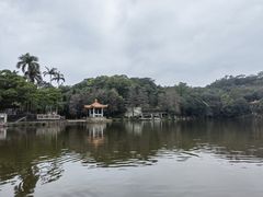 -深圳仙湖植物园