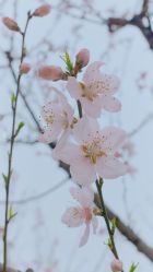 -玄武湖景区-情侣园游乐场