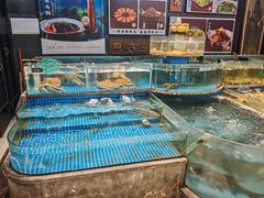 -六安宴(解放北路店)
