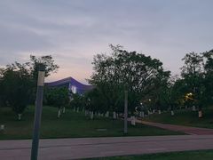 -桂溪生态公园