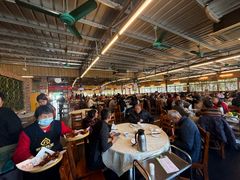 -百利鸽王(紫薇路店)