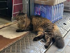 -香港鸳鸯王(西湖路店)