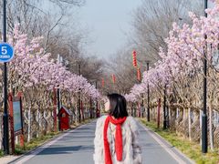-武汉紫薇都市田园