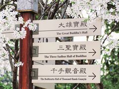 -龙华寺