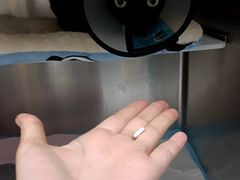 -宠颐生宠物医院·异宠猫科内科·诊疗中心宠巢店