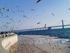 -星海广场