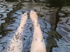 -龙达温泉生态城