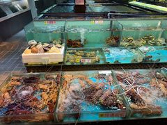 -广东名门