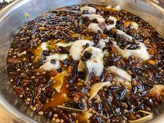 来凤鱼-陈记鱼厨卫城老店