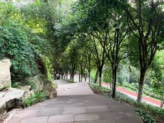 -龙头寺公园