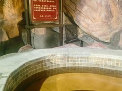 -中家鑫园温泉酒店鑫悦汤泉