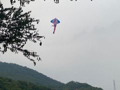 -风云岭森林公园