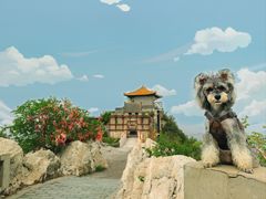 -鸡鸣山旅游风景区