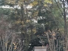 -西南交通大学(九里校区)