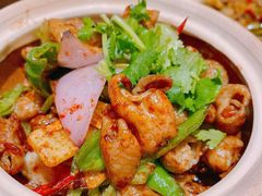 -铁公鸡·四川料理(天环广场店)