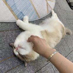 -元一肌肤管理中心