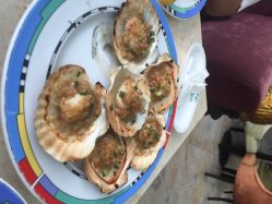 重庆阳光五洲大酒店阳光西餐厅-阳光五洲大酒店·宴会厅