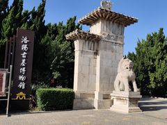 -洛阳古墓博物馆