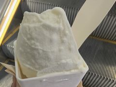-野人先生现做冰淇淋(西安赛格店)