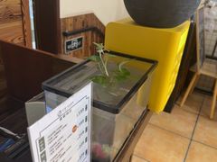 -竹雀古法采耳(青岛麦凯乐店)