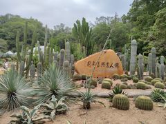 -深圳仙湖植物园