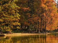 -华南国家植物园-售票处