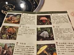 -太婆天府山珍酒楼(亚运村店)
