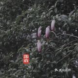 端友别墅🏡莫说杭州无园林！