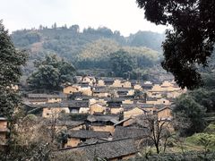 -杨家堂村
