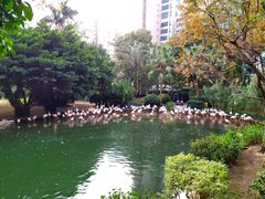-九龙公园