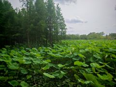 -云龙湖旅游景区