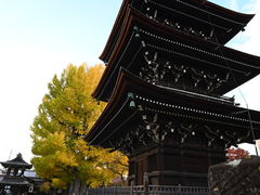 -医王山·飞騨国分寺