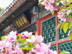 -海棠花溪(元大都城垣遗址公园)
