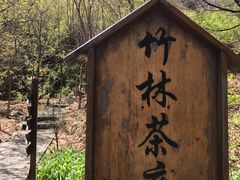 -云峰山自然风景区