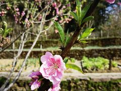 -常德桃花源景区
