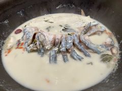 -鲜潭蒸汽石锅鱼(五道口购物中心店)