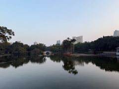 -荔湾湖公园