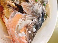 清蒸石斑鱼-明记海鲜大排档(巽寮湾店)
