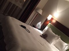 -上海浦东华美达大酒店