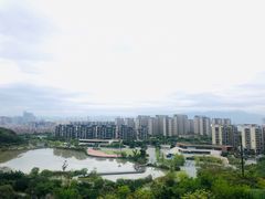 -飞凤山奥体公园