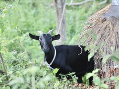 -楠溪江风景名胜区