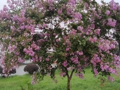 -千龙湖生态旅游度假区