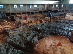 -自贡恐龙博物馆