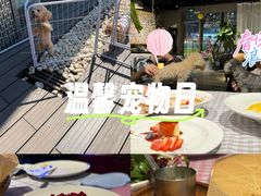 -百好乐宠物友好餐厅(朝外大街店)