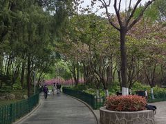 -西安市长乐公园