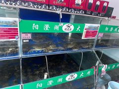 -阳澄湖大闸蟹·琼灵阁牌品牌连锁(吴中总店)